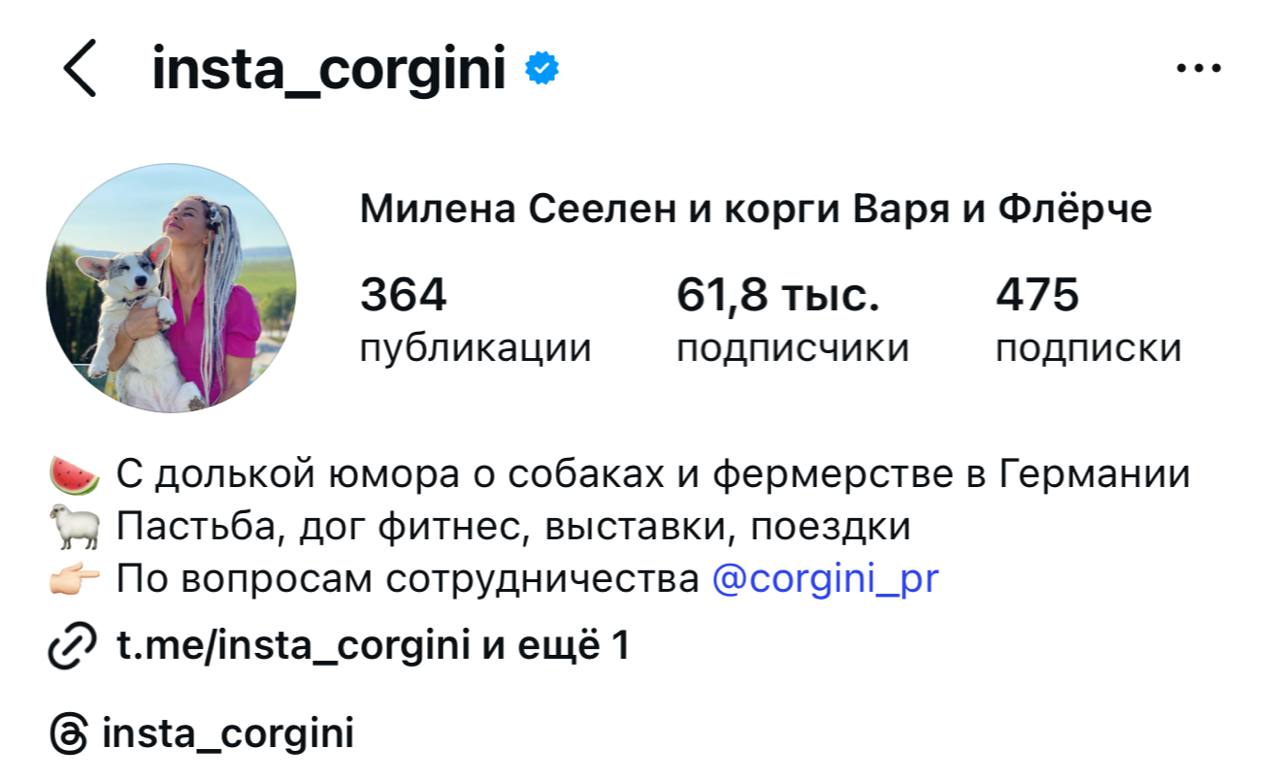 Профиль Милены в Instagram